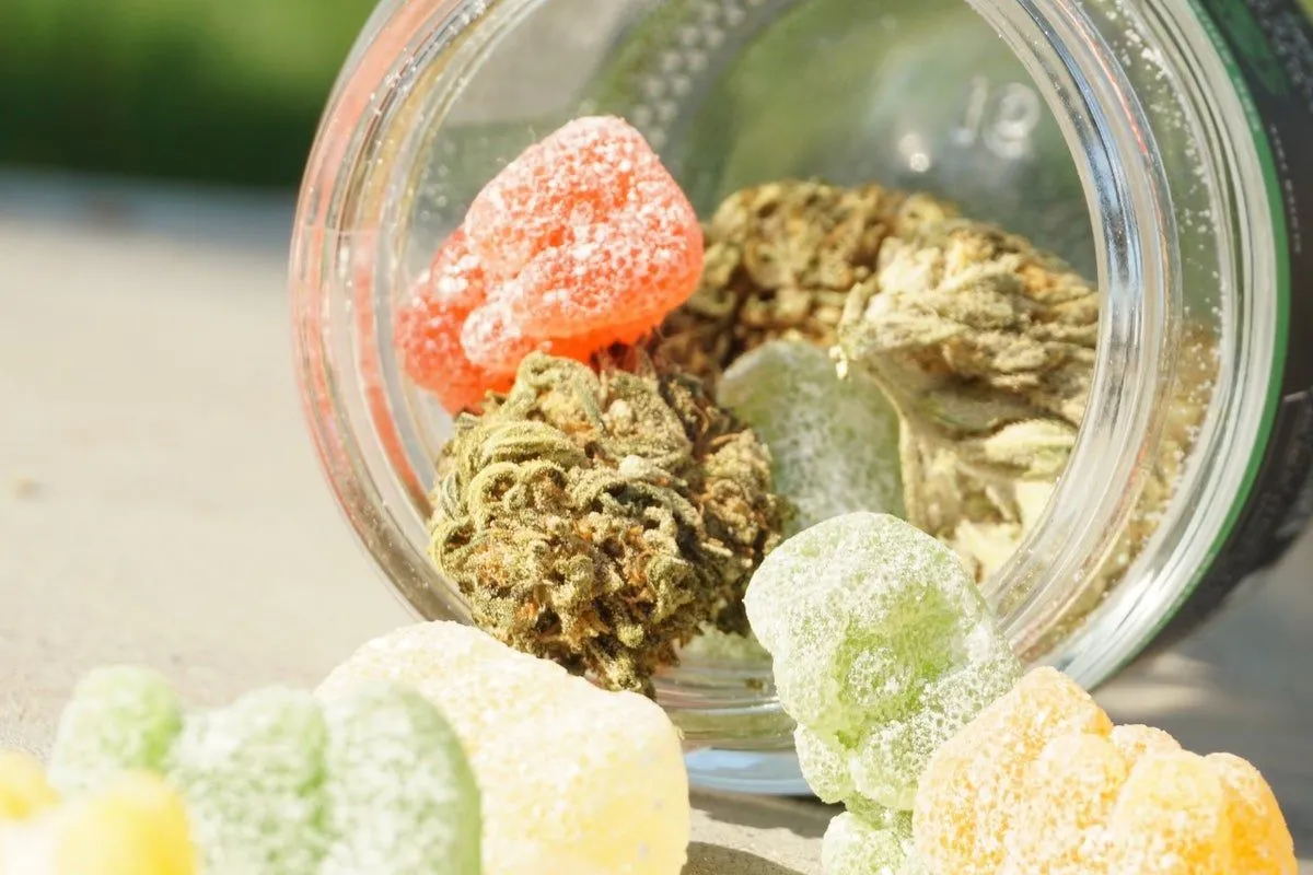 Acquisition Of This CBD Gummy Manufacturer Could 'Position Bloomios To  Uplist To Nasdaq' - Upexi (NASDAQ:UPXI), Bloomios (OTC:BLMS) - Benzinga