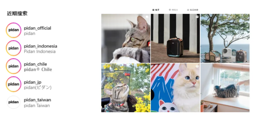 猫砂卖出上亿营收,这家宠物品牌火爆海内外!