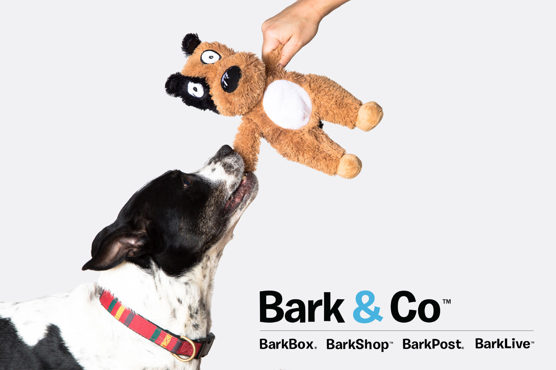宠物品牌BARK23财年营收5.4亿美元，增长5.5%