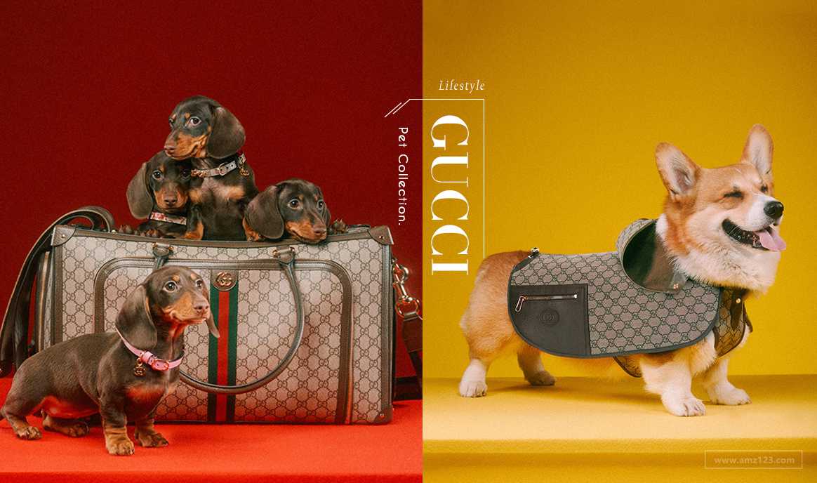 Gucci涉猎全新领域！推出宠物用品系列“PET COLLECTION”