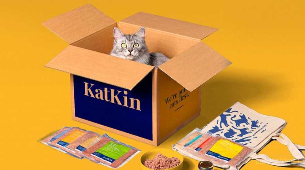 英国猫粮品牌KatKin获2160万美元A轮融资