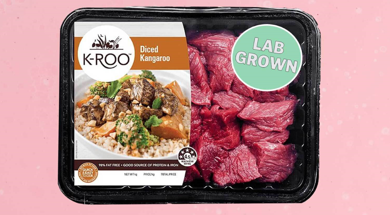 澳大利亚人造肉品牌Vow获5920万美元A轮融资