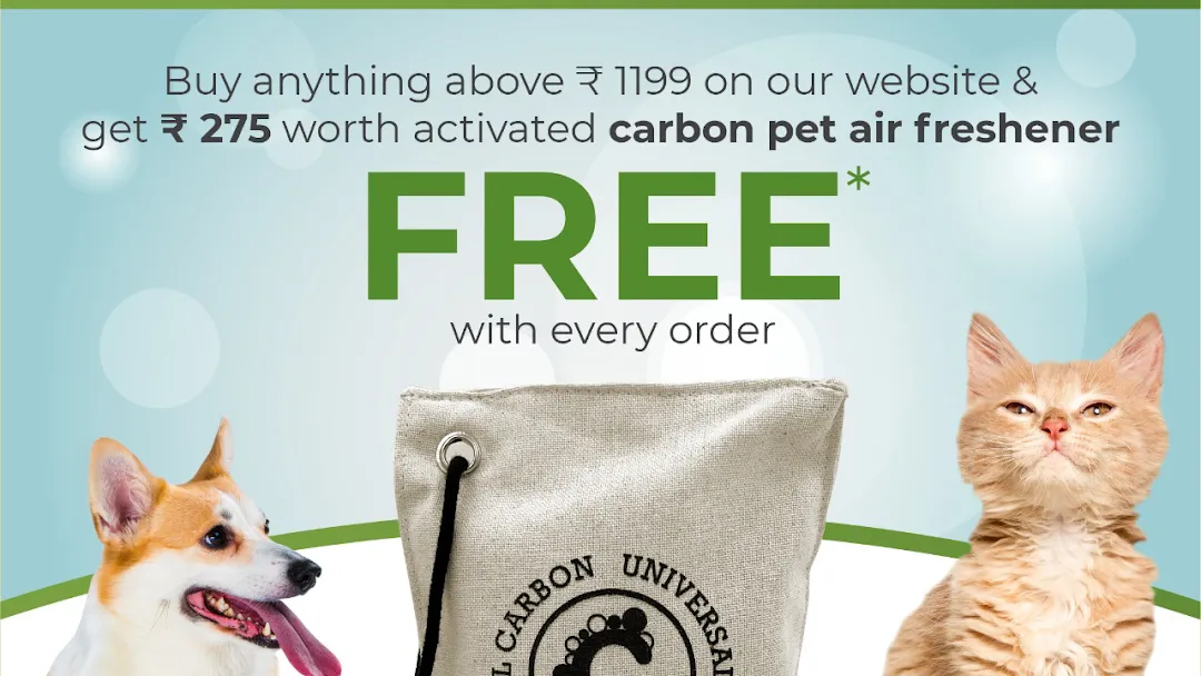 Goofy Tails |The Complete Pet Product Store - Pet Supply Store in Okhla Industrial Area