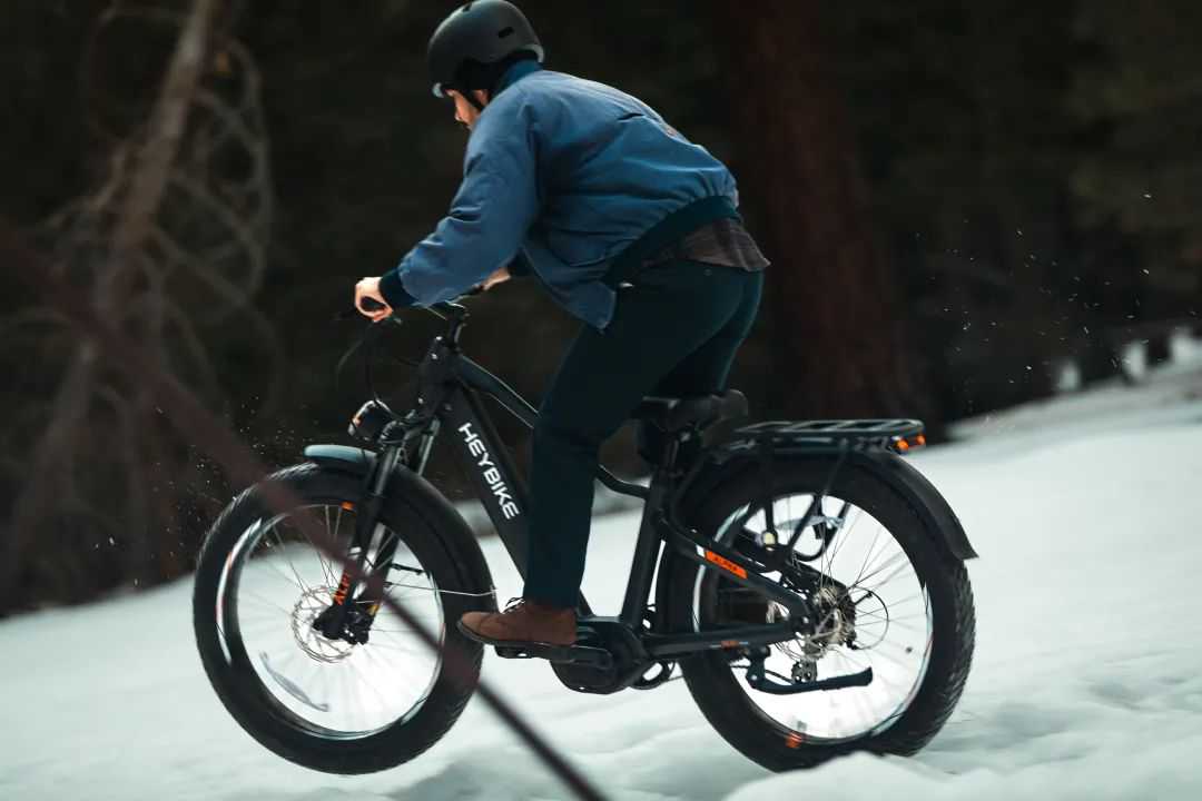 拿下北美销量前三！这家Ebike做对了什么？| 方舟专访