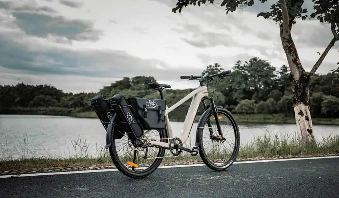 一年捞金上亿！深圳E-bike品牌正闷声发财