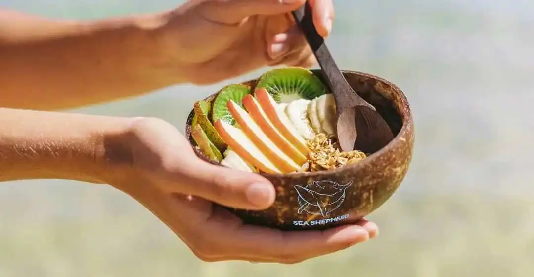 废料变爆款!椰子碗背后的千万美金生意