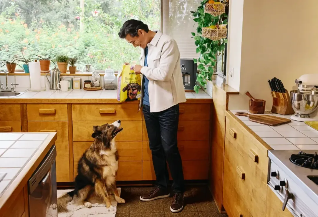 宠粮赛道再现黑马!风干狗粮年入百万美金