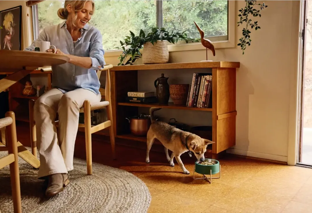 宠粮赛道再现黑马!风干狗粮年入百万美金