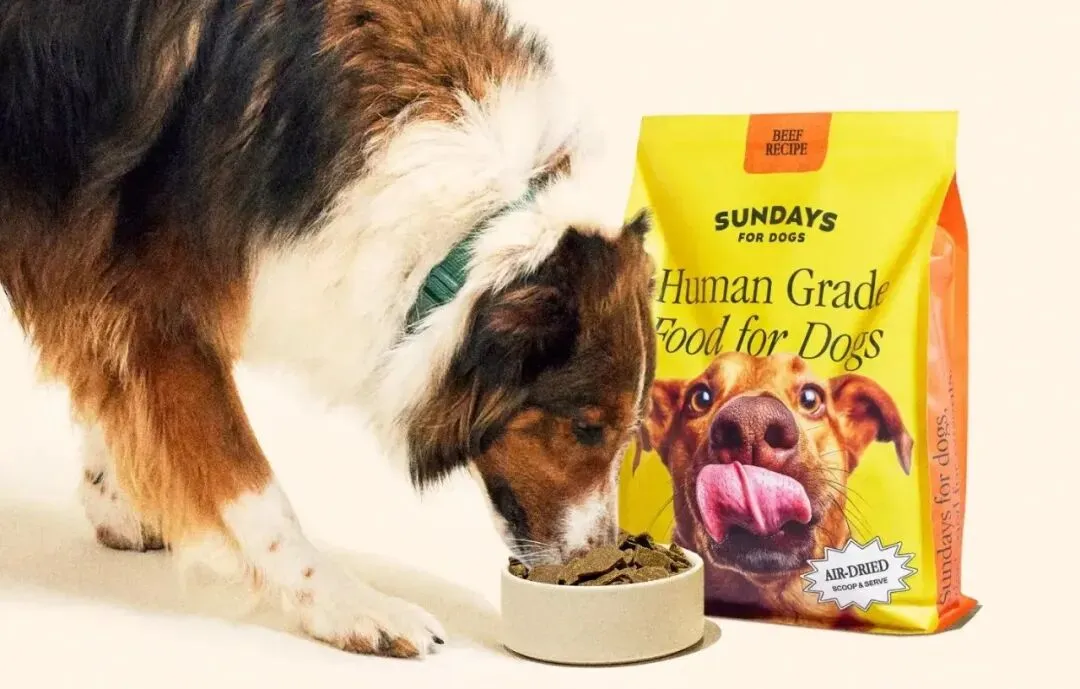 宠粮赛道再现黑马!风干狗粮年入百万美金