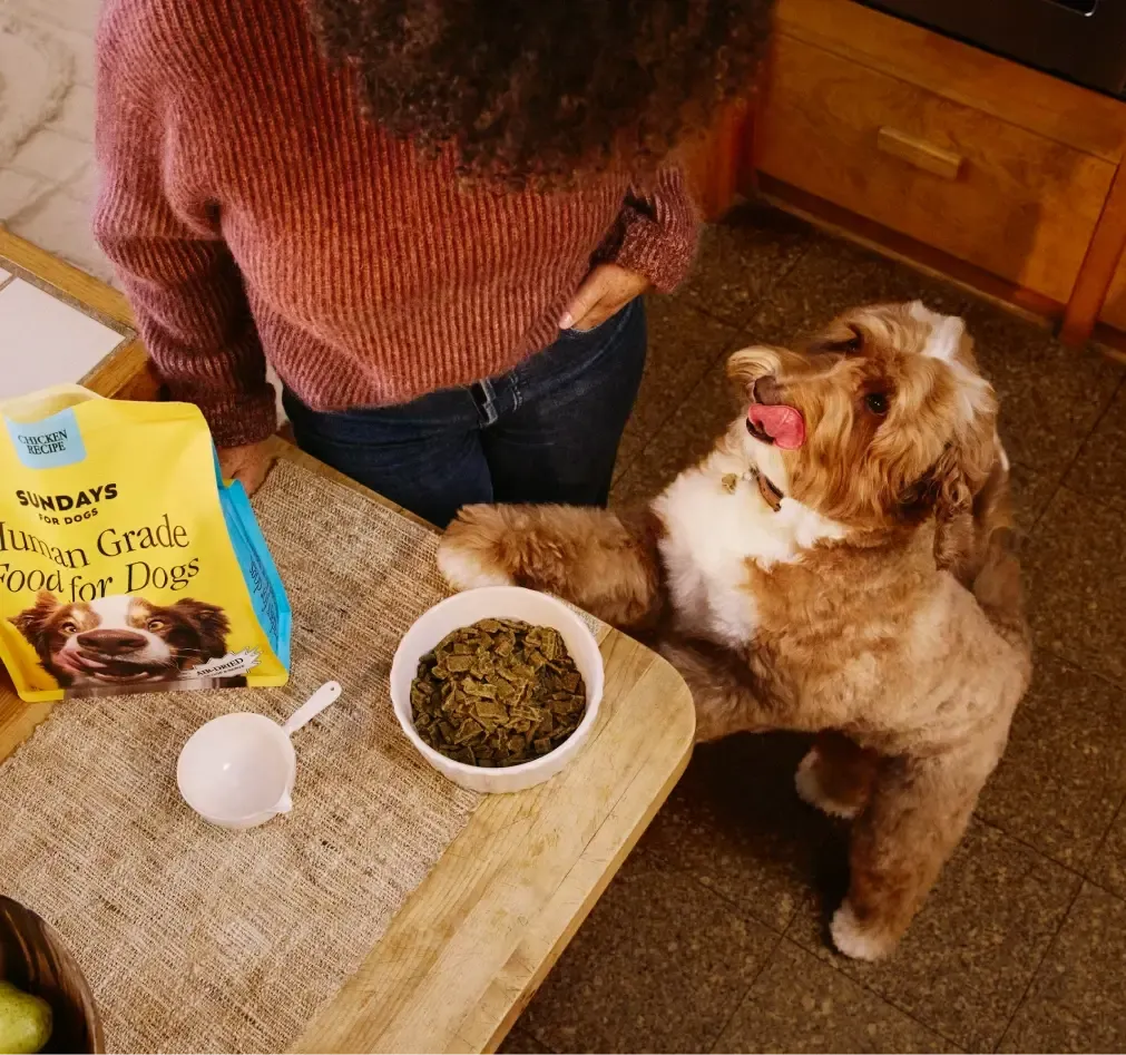 宠粮赛道再现黑马!风干狗粮年入百万美金