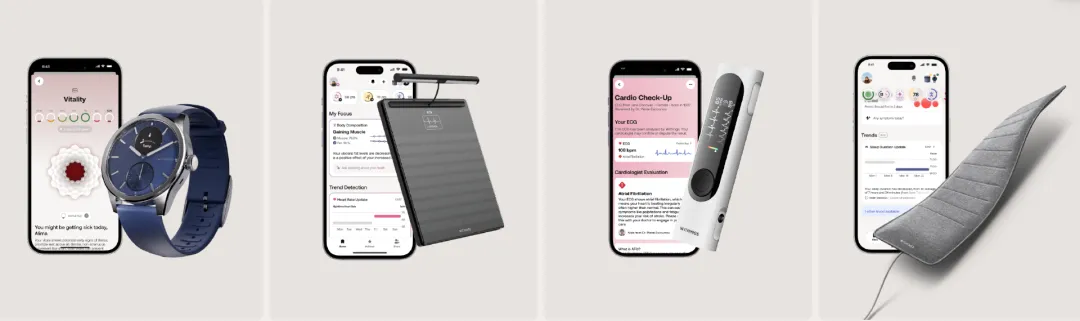 一台智能秤卖500美元,它做独立站年收近6亿!