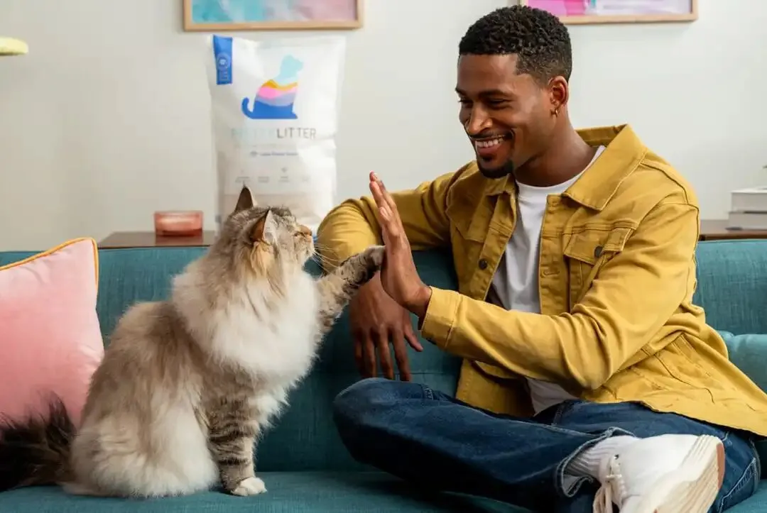 猫砂热卖上亿美金！宠物健康消费迎新风口