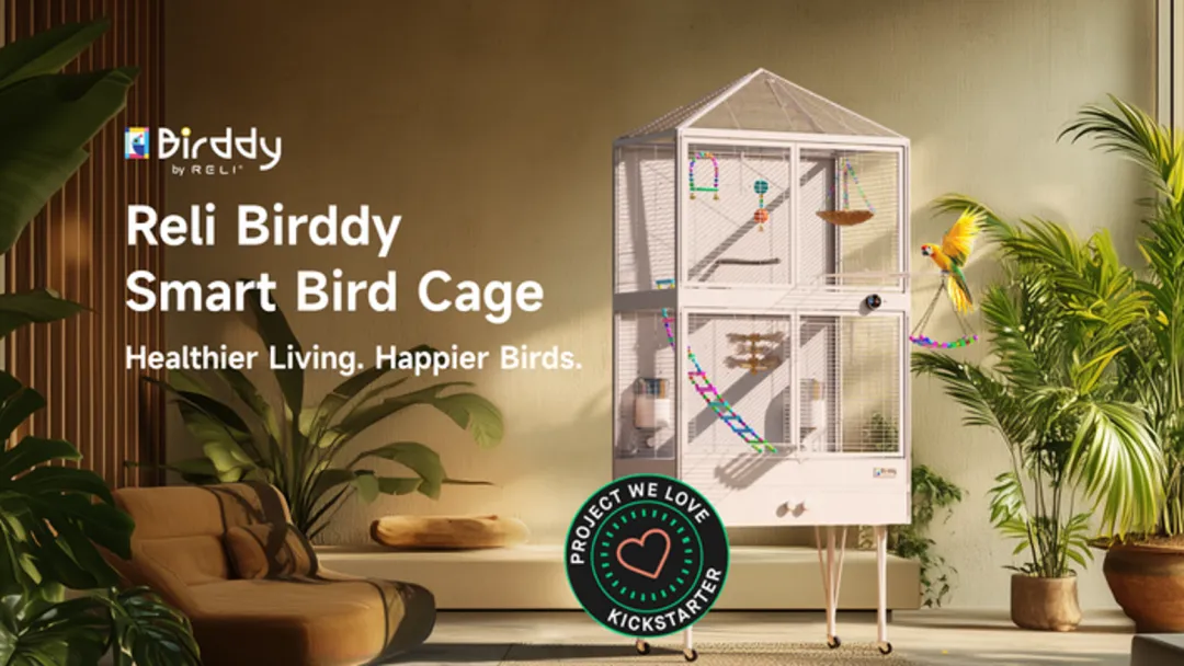 仓鼠、守宫、蜘蛛走红，宠物赛道变天了