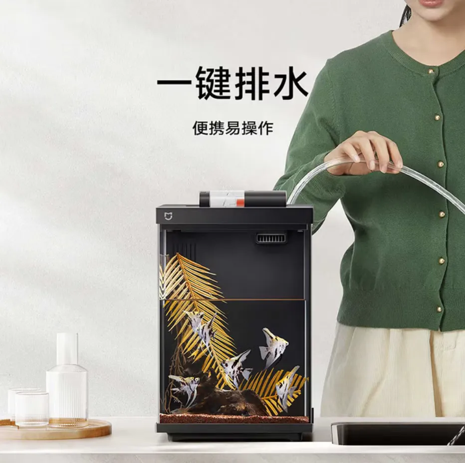 仓鼠、守宫、蜘蛛走红，宠物赛道变天了