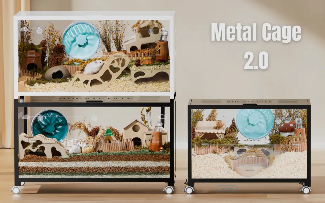 仓鼠、守宫、蜘蛛走红，宠物赛道变天了