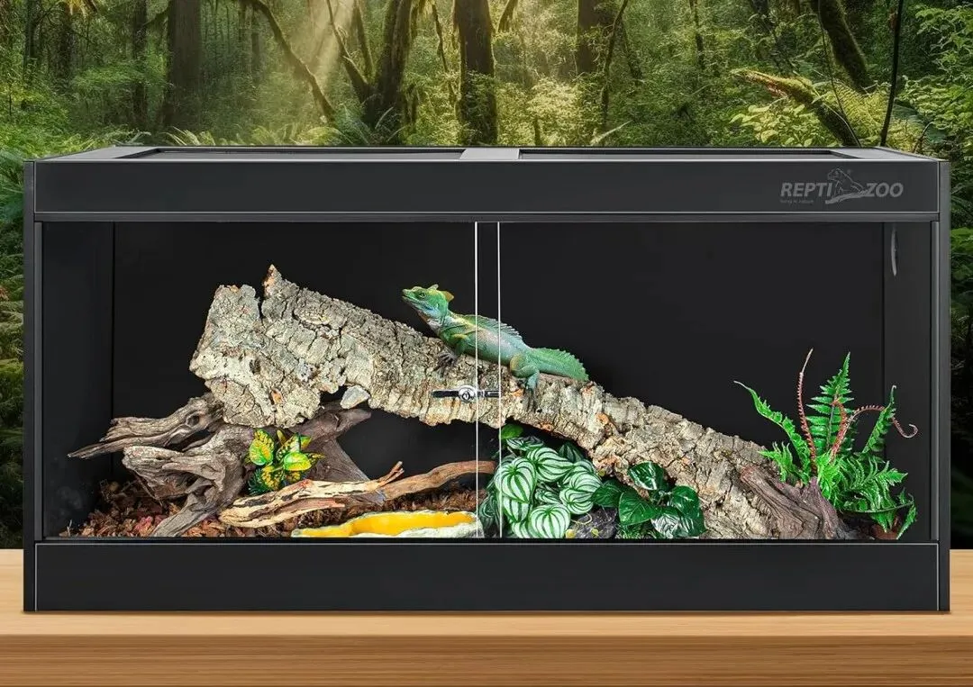 仓鼠、守宫、蜘蛛走红，宠物赛道变天了