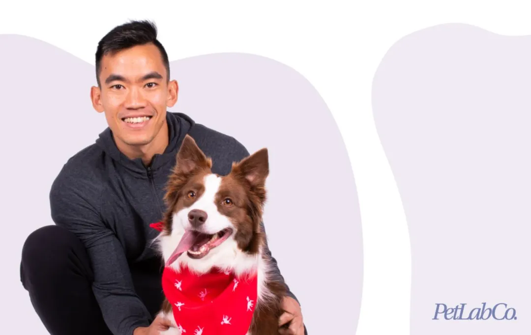 给老年狗狗喂保健品，它年赚2亿美金！