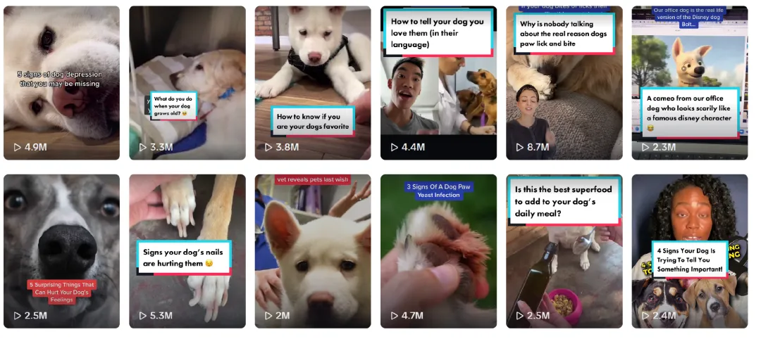 给老年狗狗喂保健品，它年赚2亿美金！