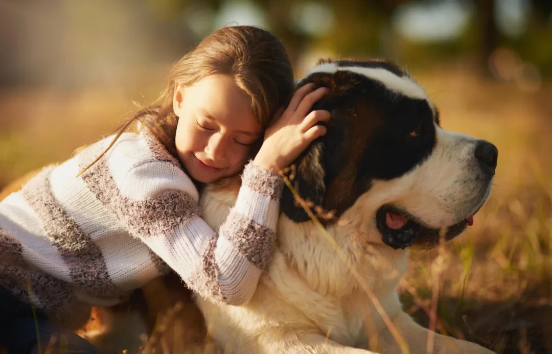给老年狗狗喂保健品，它年赚2亿美金！
