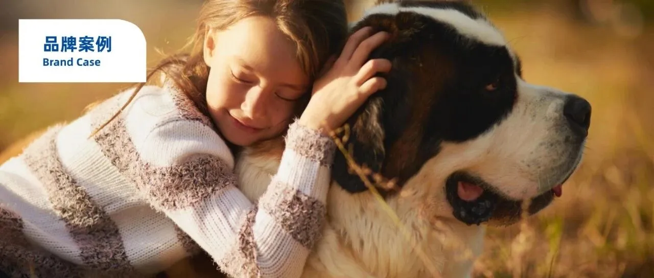 给老年狗狗喂保健品，它年赚2亿美金！