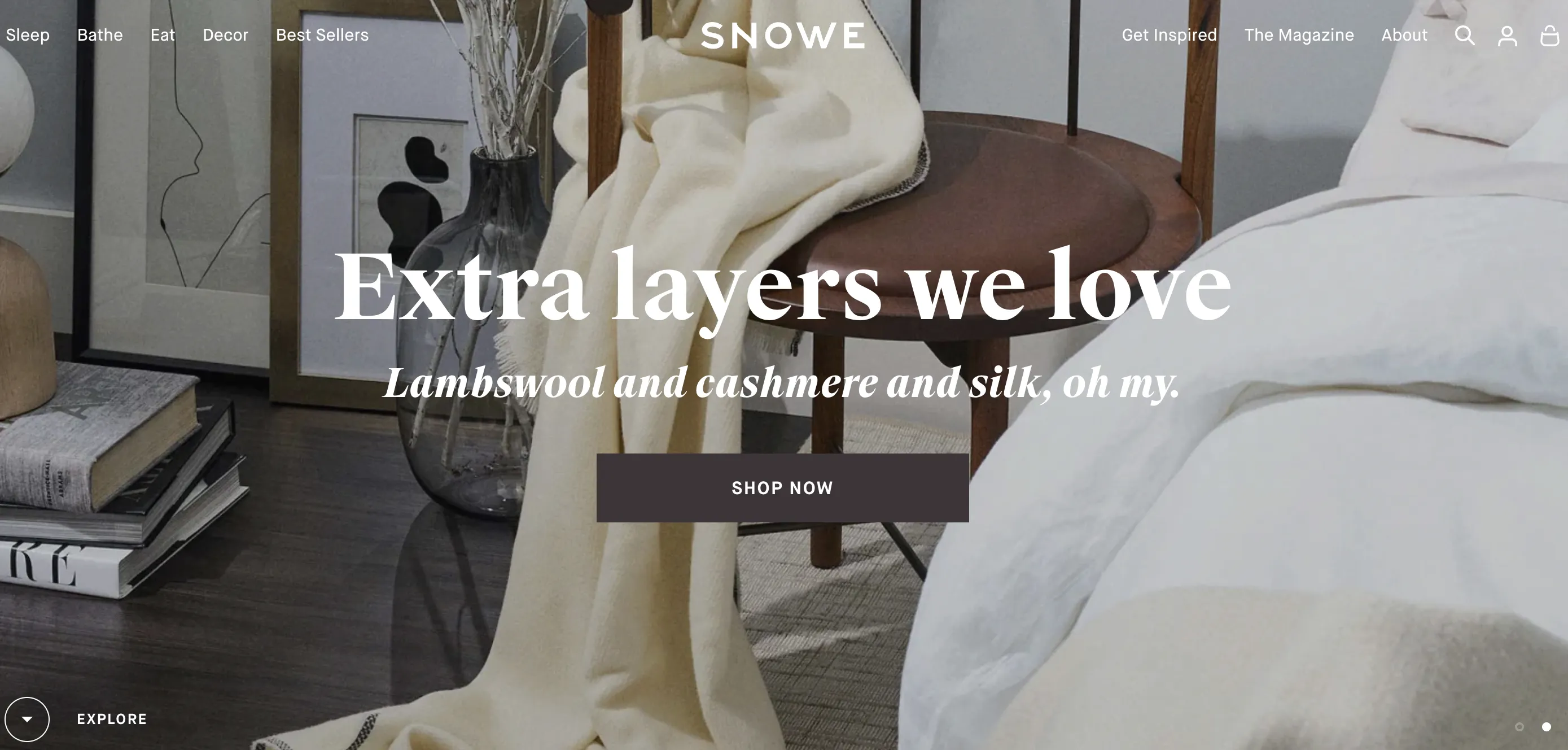 市场竞争加剧,DTC家居品牌Snowe的增长困境