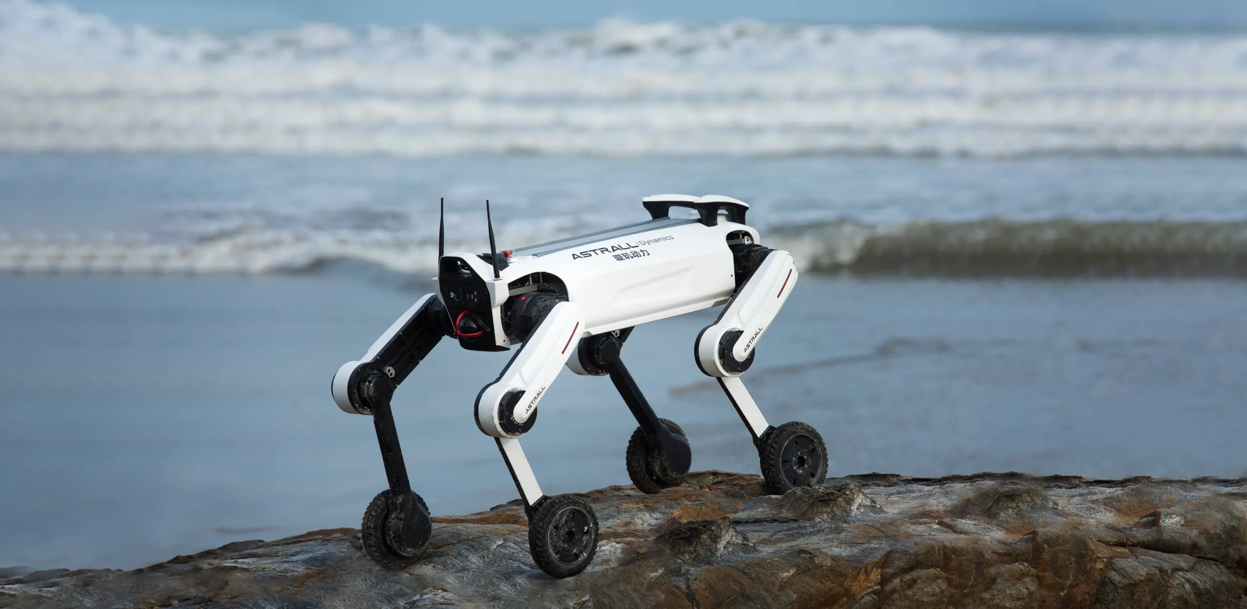 大疆系创企「璇玑动力」完成近亿元天使轮融资