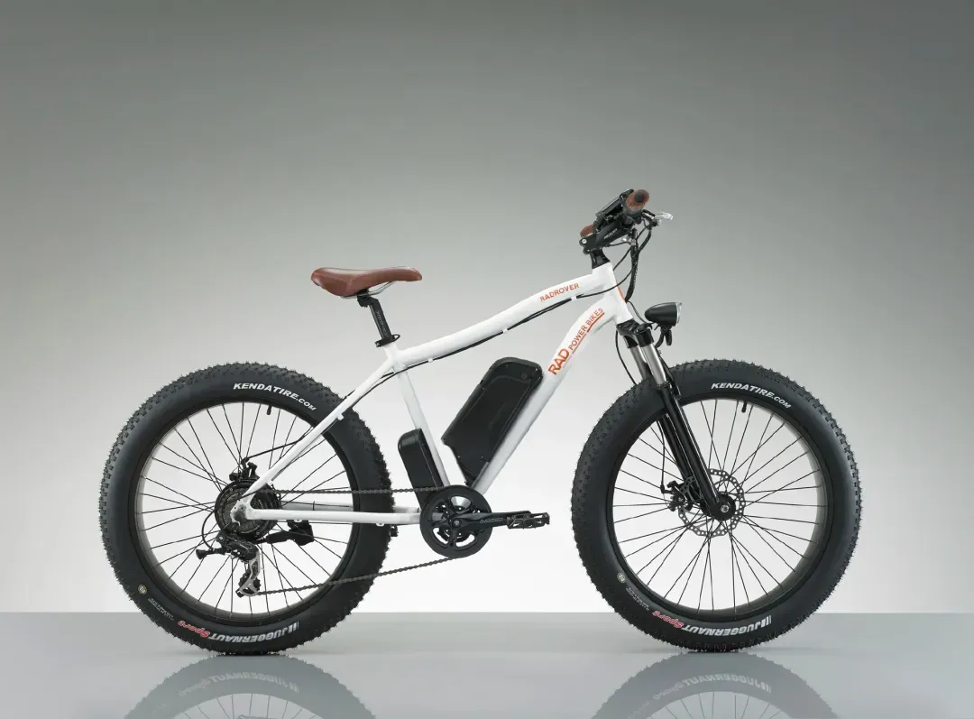 负债7300万美元!北美知名E-bike品牌申请破产保护