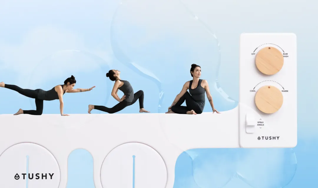 狂揽4000万美金,马桶盖遭250万老外疯抢