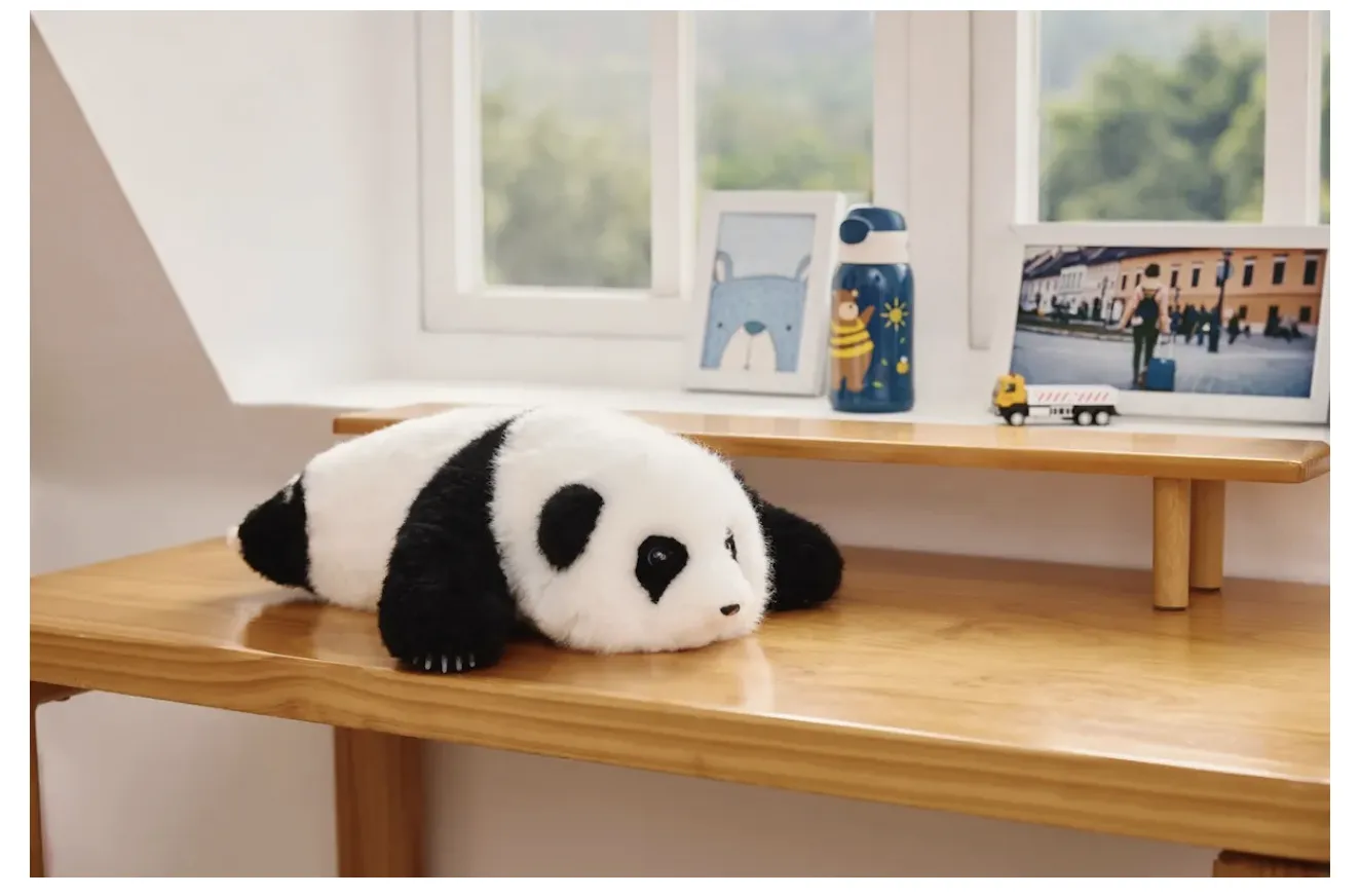 超声波刀、AI熊猫机器人等，多款产品在CES 2026亮相