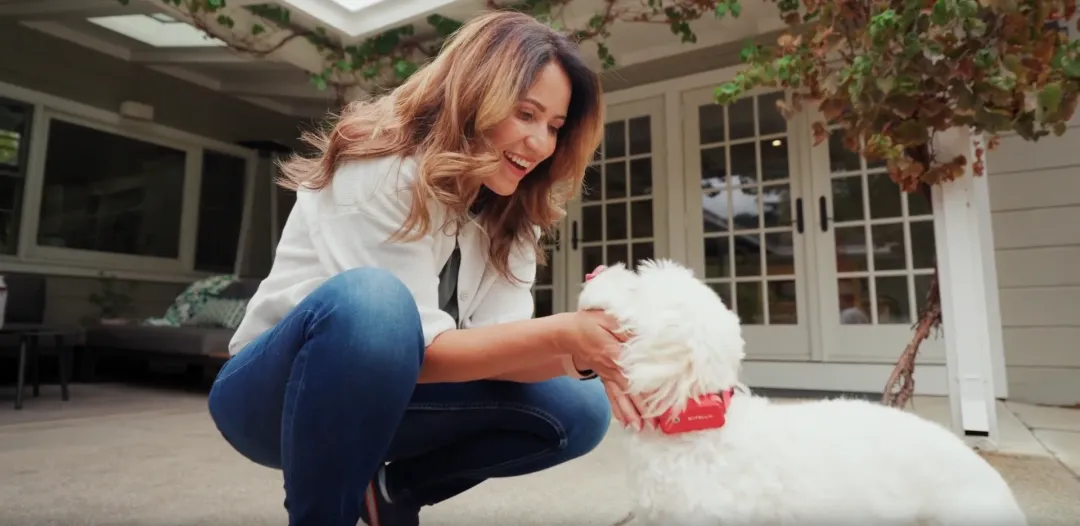 拿下千万级融资，国产宠物品牌上线即走红！