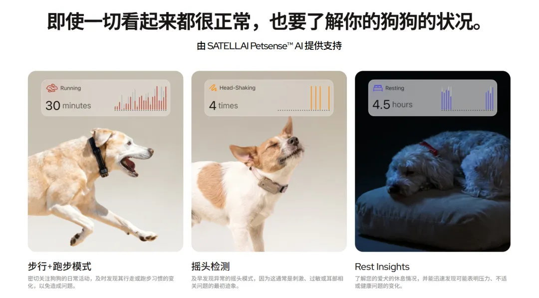 拿下千万级融资，国产宠物品牌上线即走红！