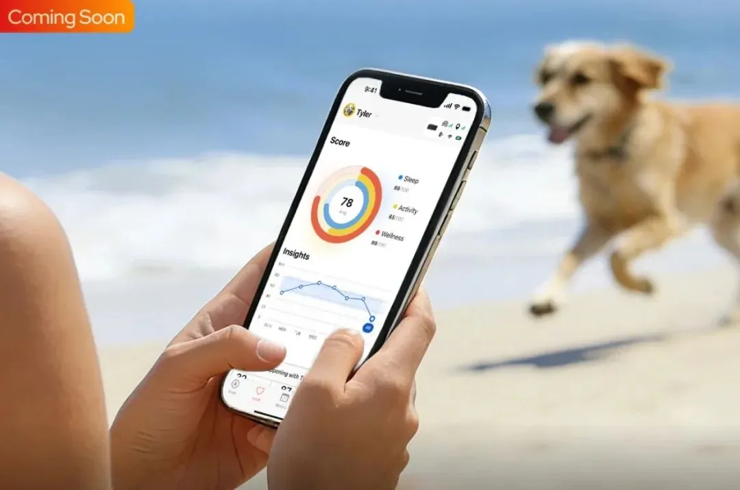 拿下千万级融资，国产宠物品牌上线即走红！