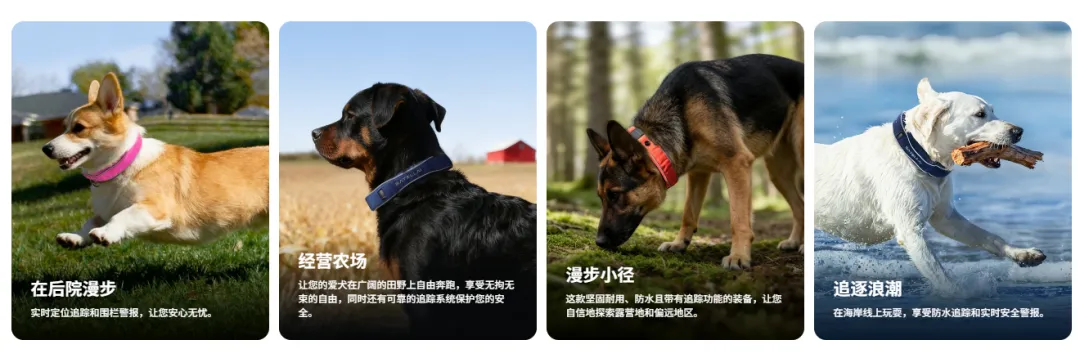 拿下千万级融资，国产宠物品牌上线即走红！