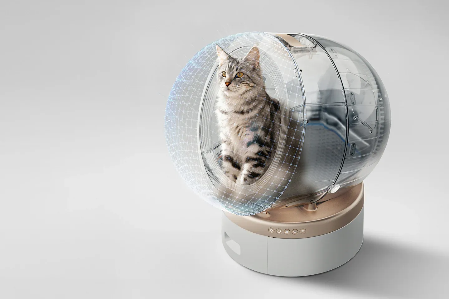 MOVA AI宠物完成数千万元A轮融资