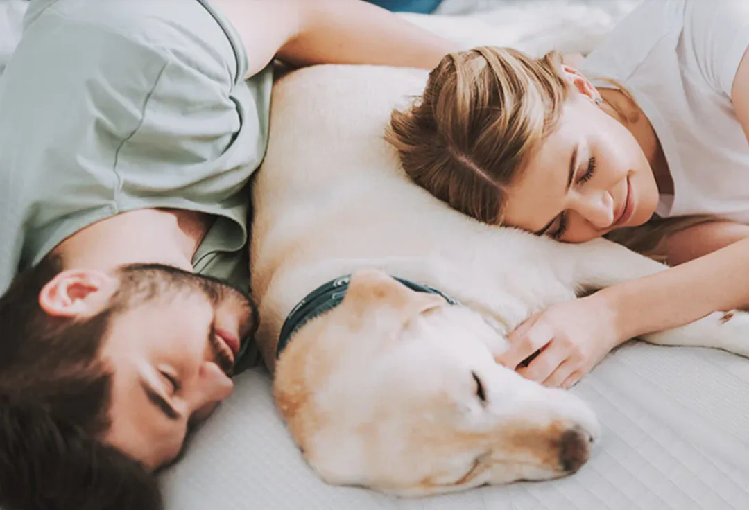 一年进账超30亿，它靠一张床垫卖爆了！