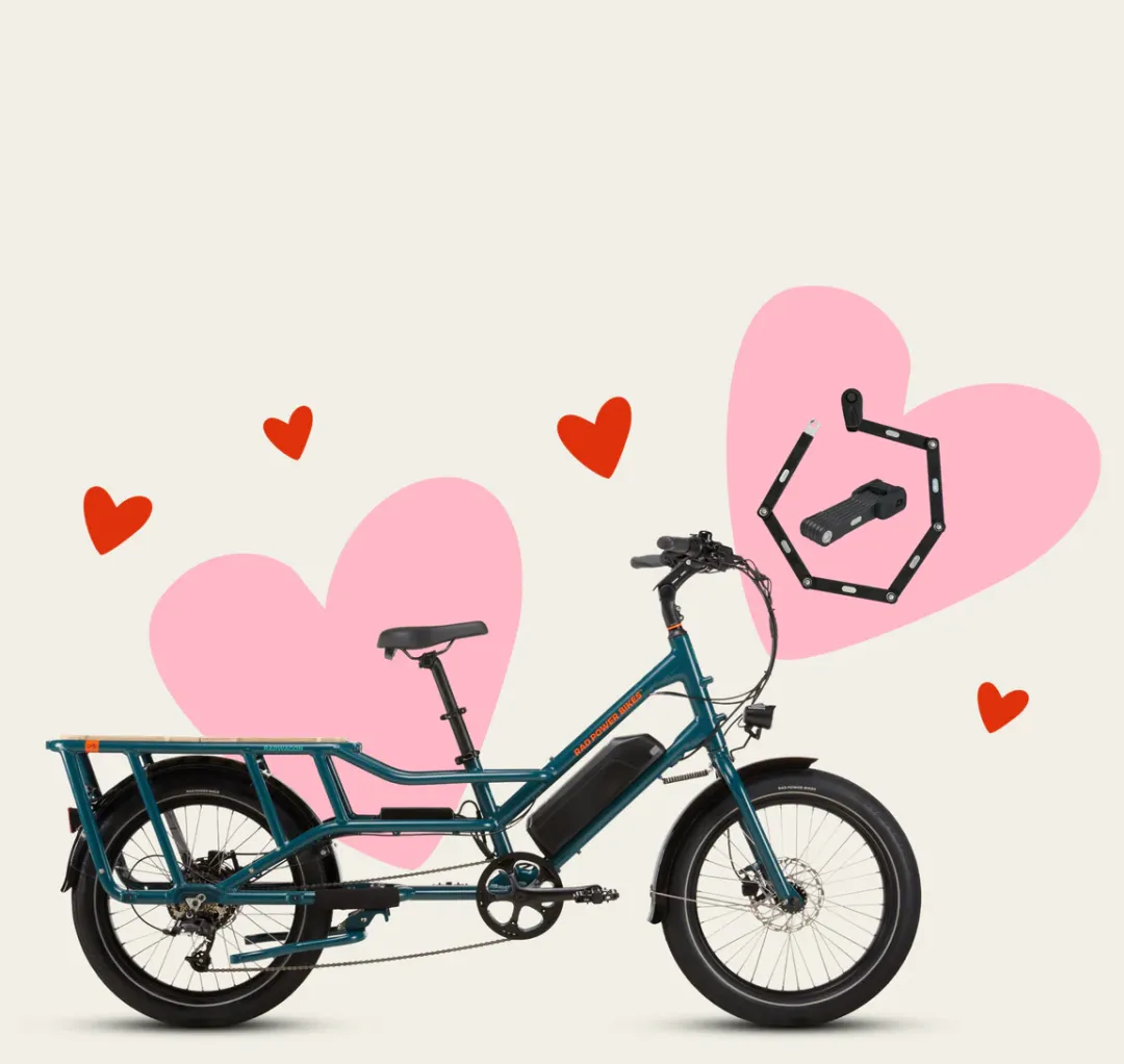 16.5亿美元估值成泡沫，北美E-bike顶流被低价拍卖！