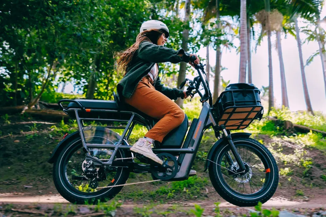 16.5亿美元估值成泡沫，北美E-bike顶流被低价拍卖！