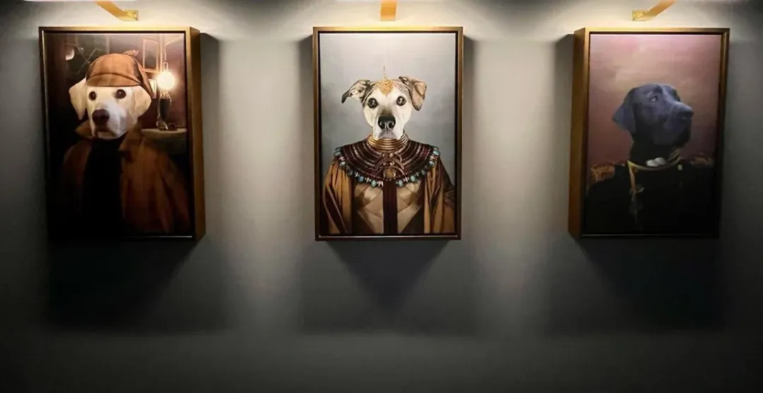 年入千万美金！它把宠物自拍做成大生意！