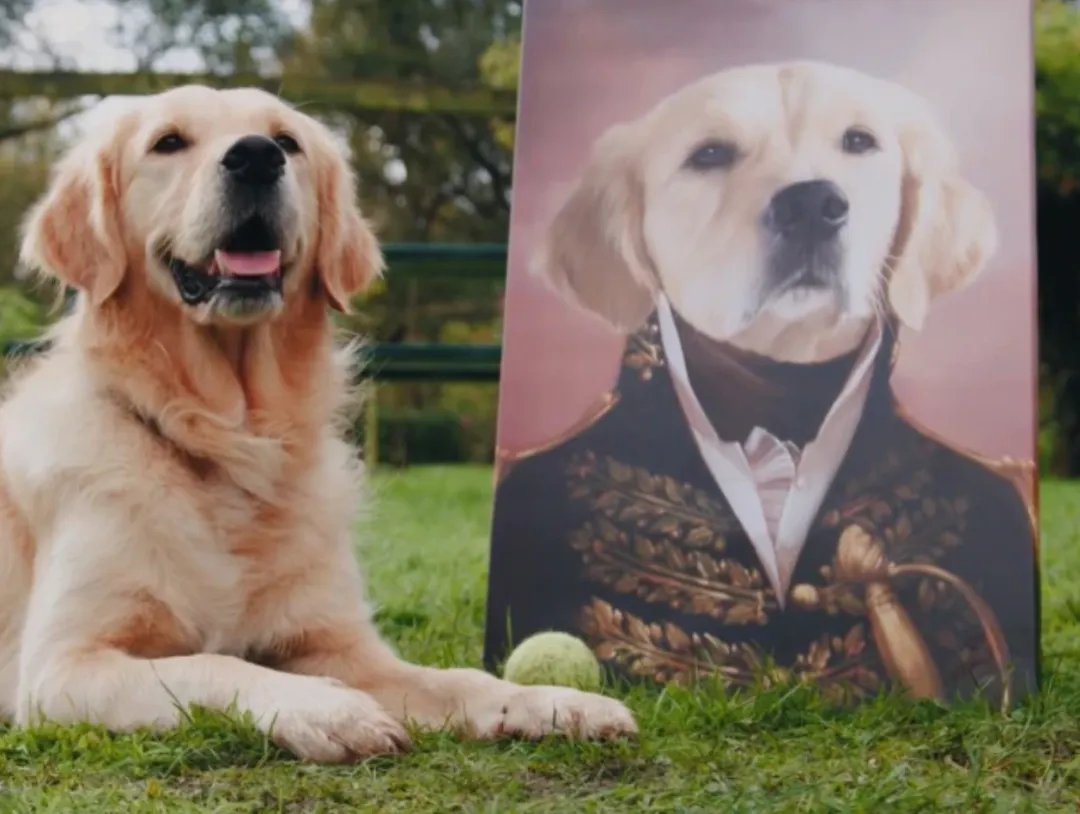 年入千万美金！它把宠物自拍做成大生意！