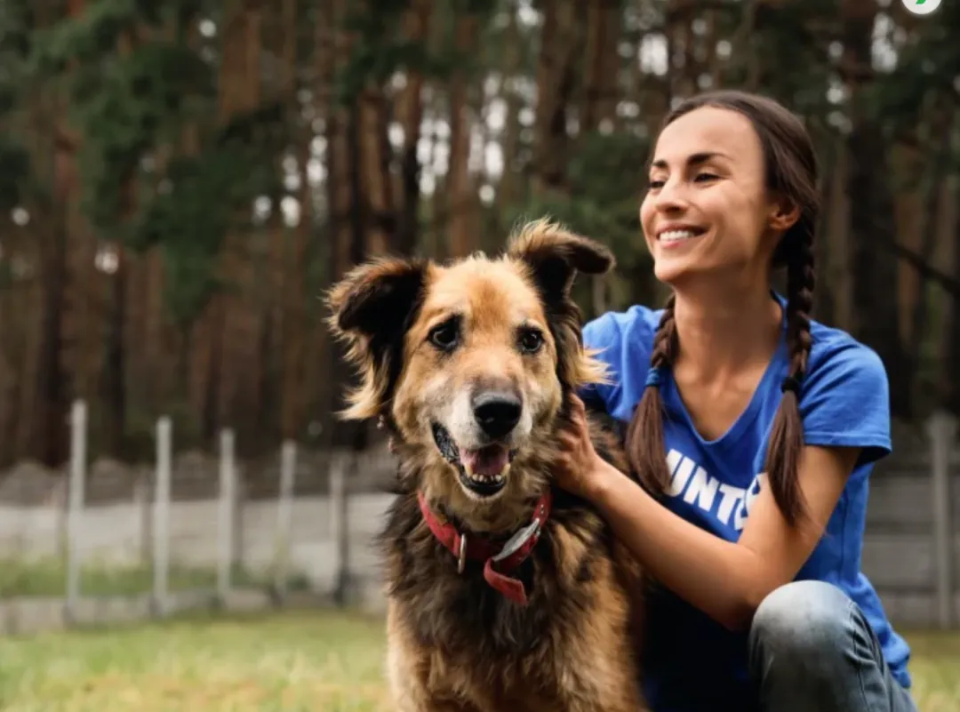 年入千万美金！它把宠物自拍做成大生意！