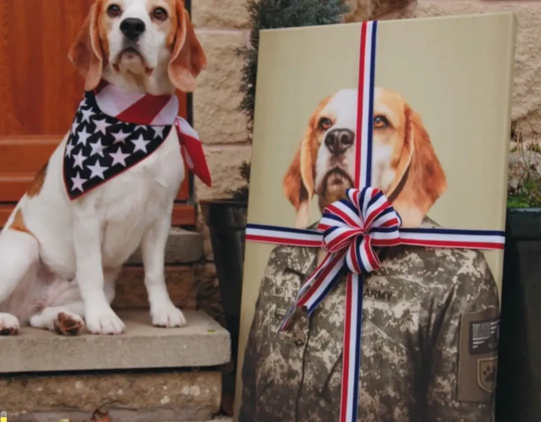 年入千万美金！它把宠物自拍做成大生意！