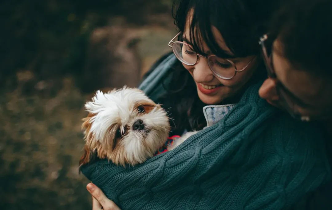 年入千万美金！它把宠物自拍做成大生意！