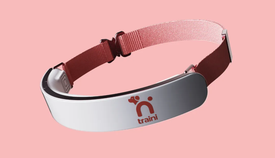 宠物科技新风口，“猫狗翻译官”狂揽5千万融资！