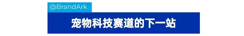 宠物科技新风口,“猫狗翻译官”狂揽5千万融资!