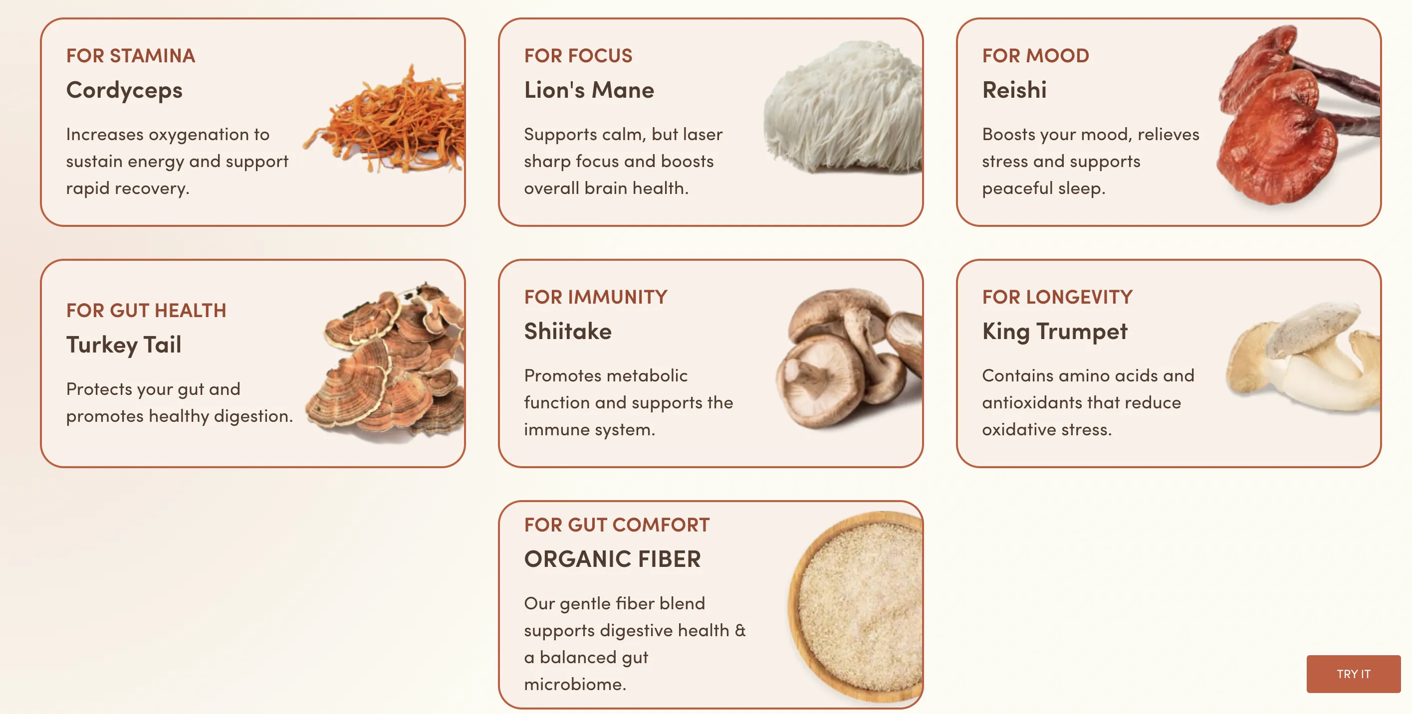 年收3亿美元！RYZE蘑菇咖啡在健康饮品赛道火了