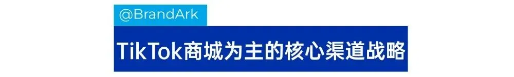 靠爆珠口气糖反超头部,食品类目如何做好TikTok? | 创始人访谈