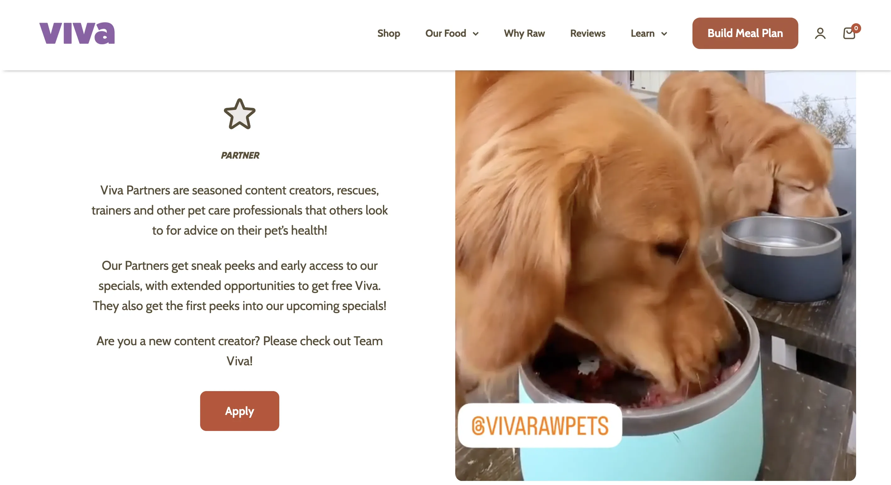 宠物生食喂养走红，Viva Raw在小众赛道年收千万美金