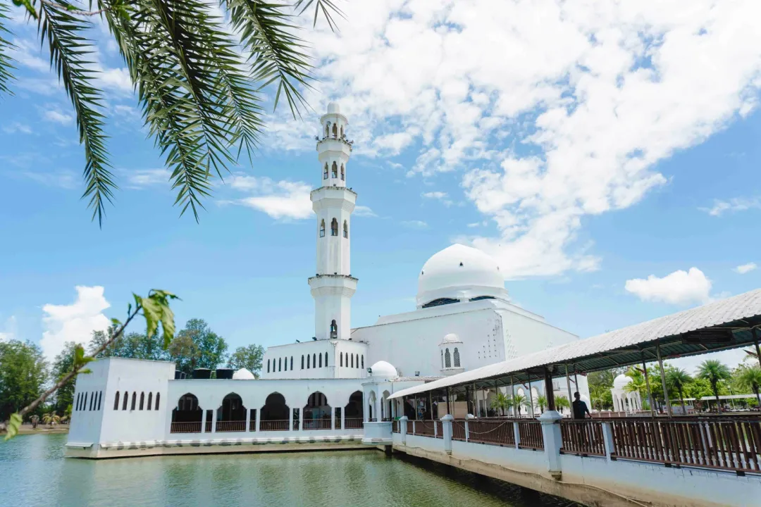 群雄割据的马来市场，谁在赚大钱？