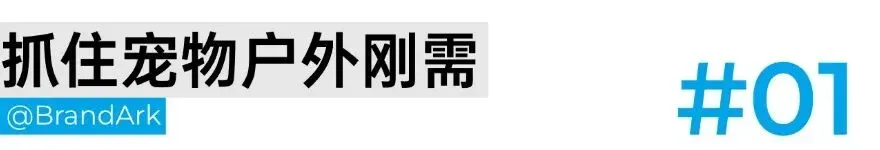 卖宠物户外设备，它一年进账2600万美金！