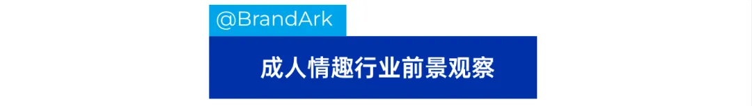 AI+情趣新品类，这个独立站年收上亿美金！